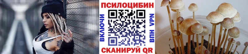 shop Telegram  закладки  Дербент  Псилоцибиновые грибы MAGIC MUSHROOMS 